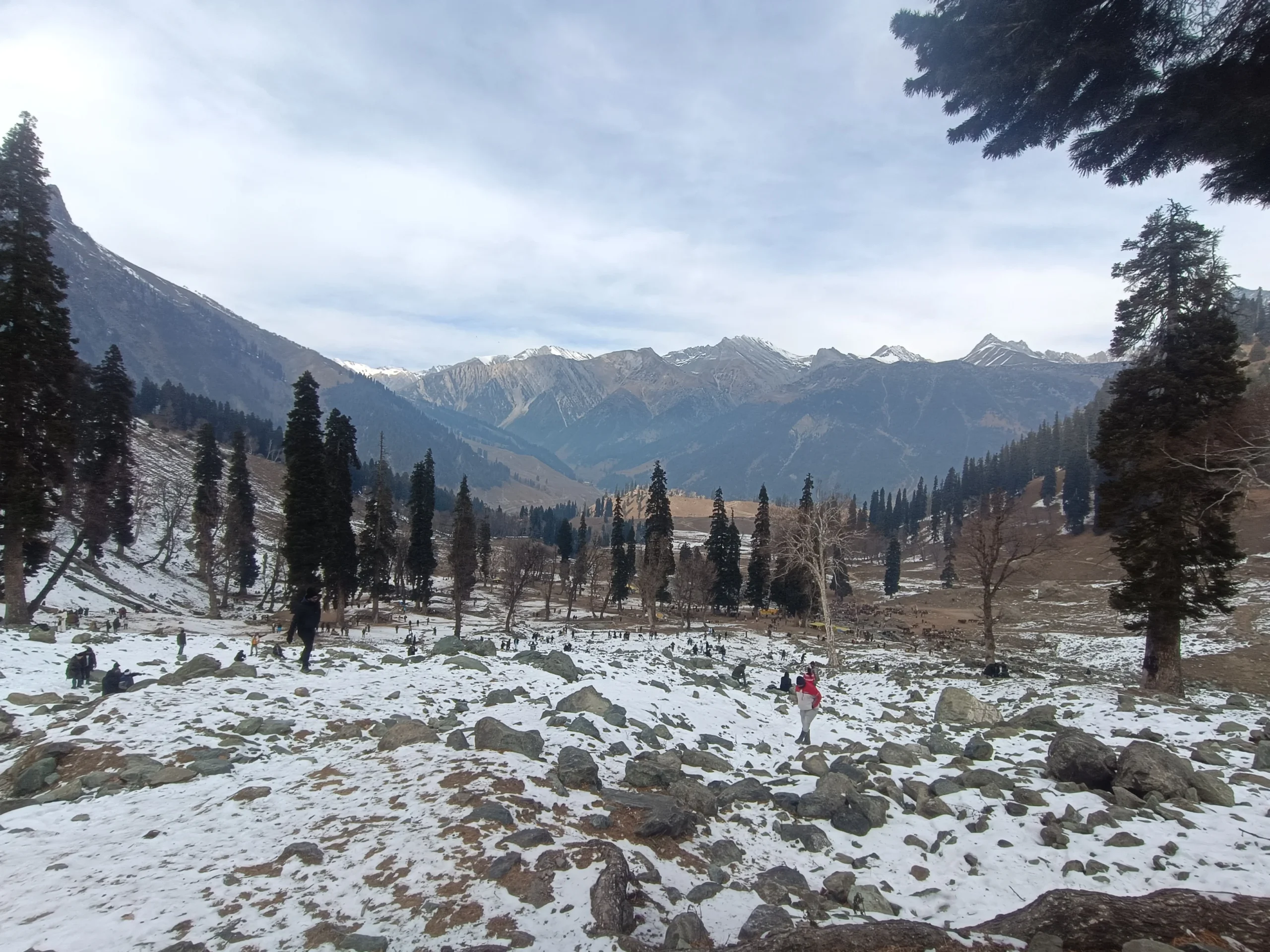 IMG_20241207_141435 (1)