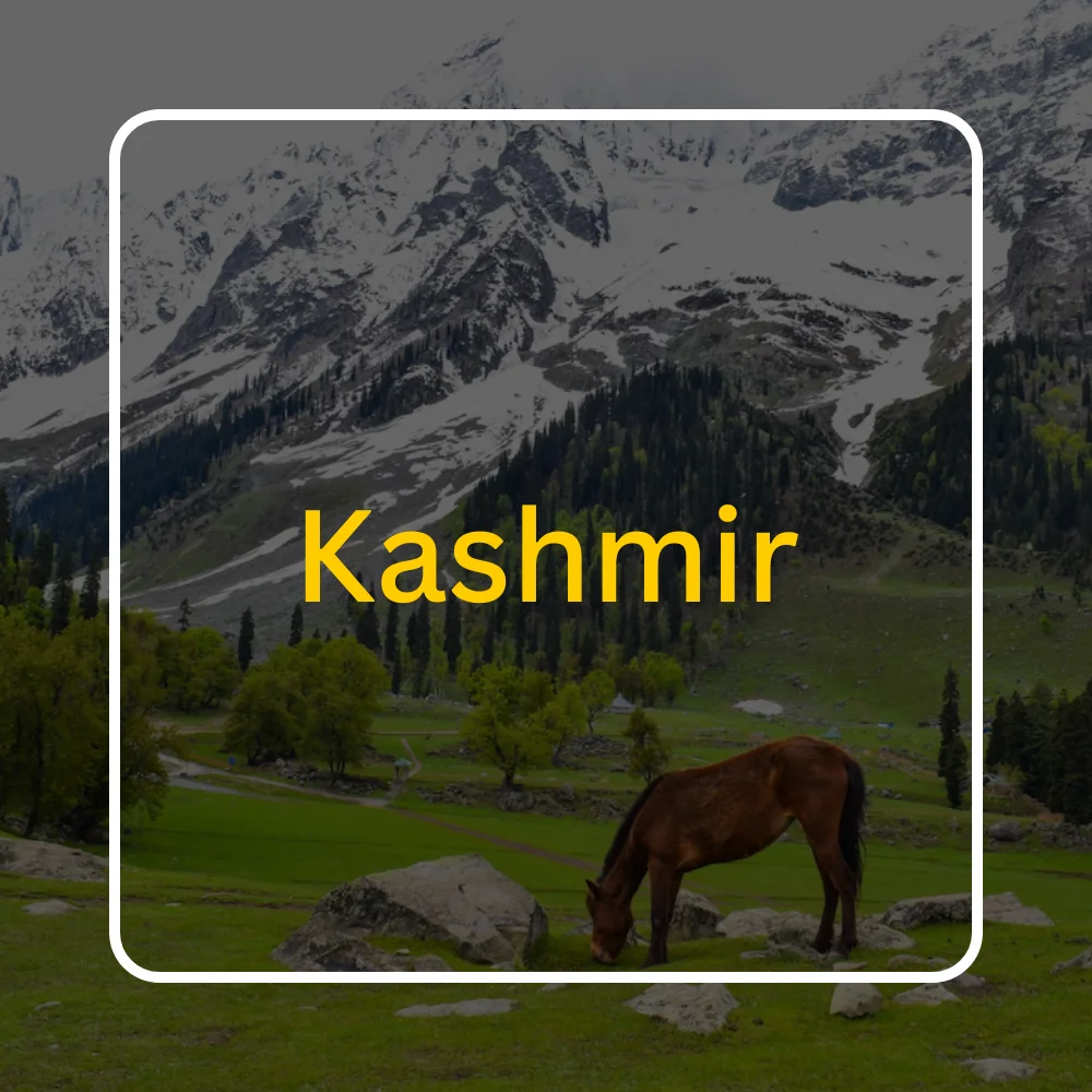 Kashmir